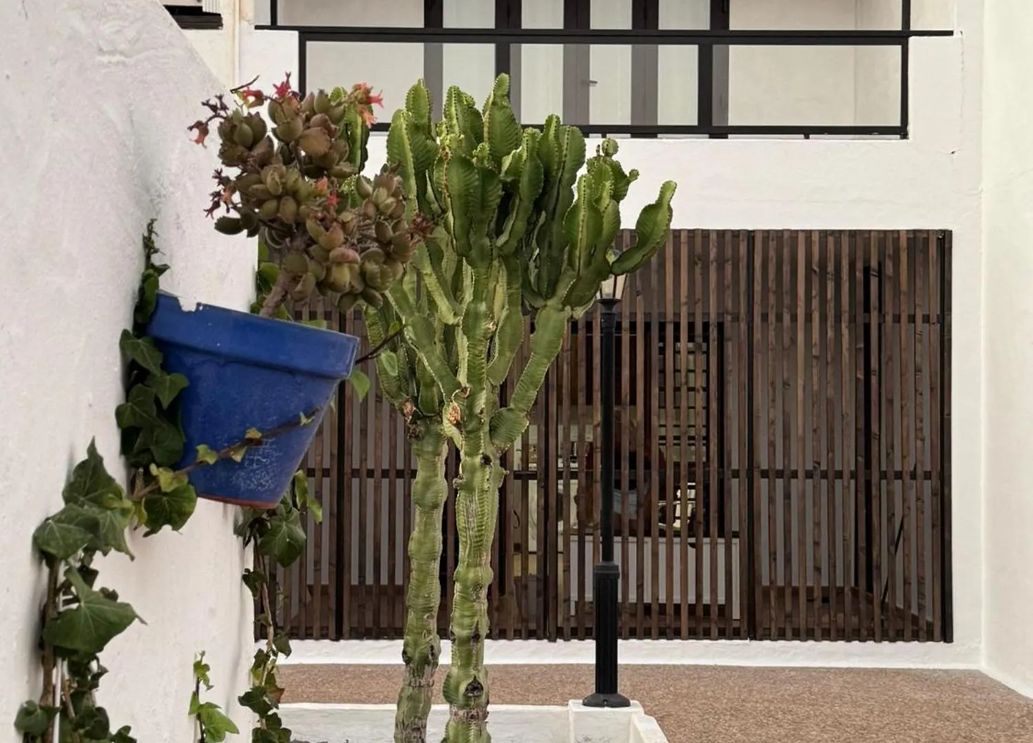 Casa Ana Puerto Del Carmen Apartment Tias